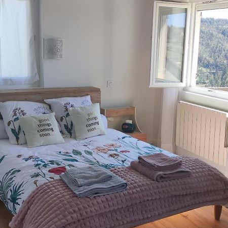 La Petite Maison D'Hose Monistrol-sur-Loire Extérieur photo